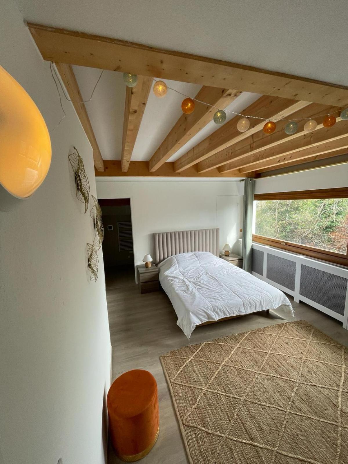 Le Bacchus Lejlighed Thonon-les-Bains Værelse billede