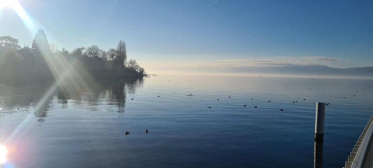 Le Bacchus Lejlighed Thonon-les-Bains Eksteriør billede